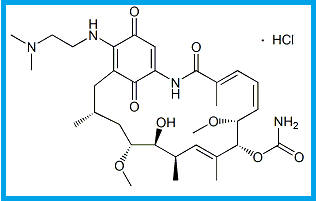 GELDANAMYCIN 17-N-(2-DIMETHYLAMINOETHYLAMINO)